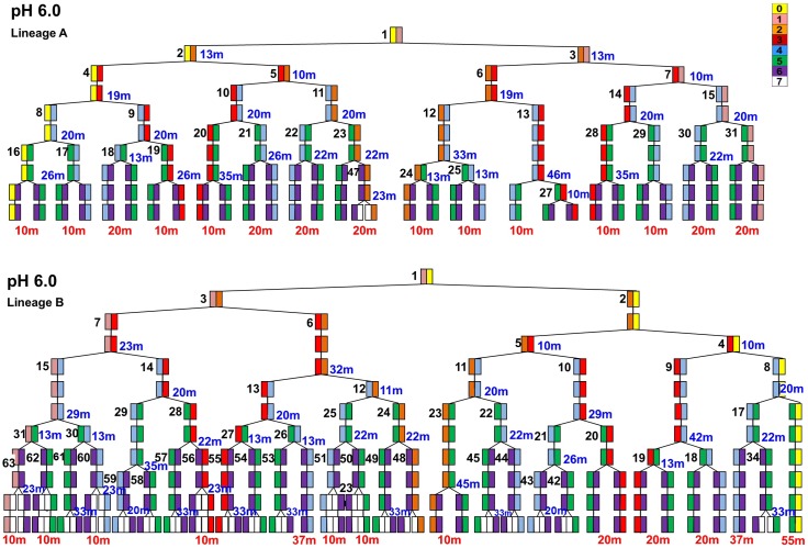 Fig 3