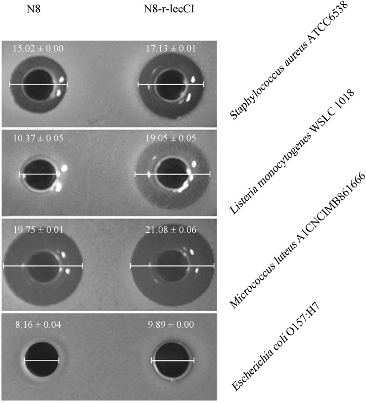 FIGURE 4