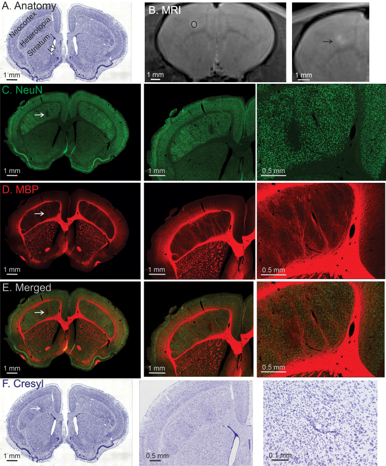 FIG. 6.