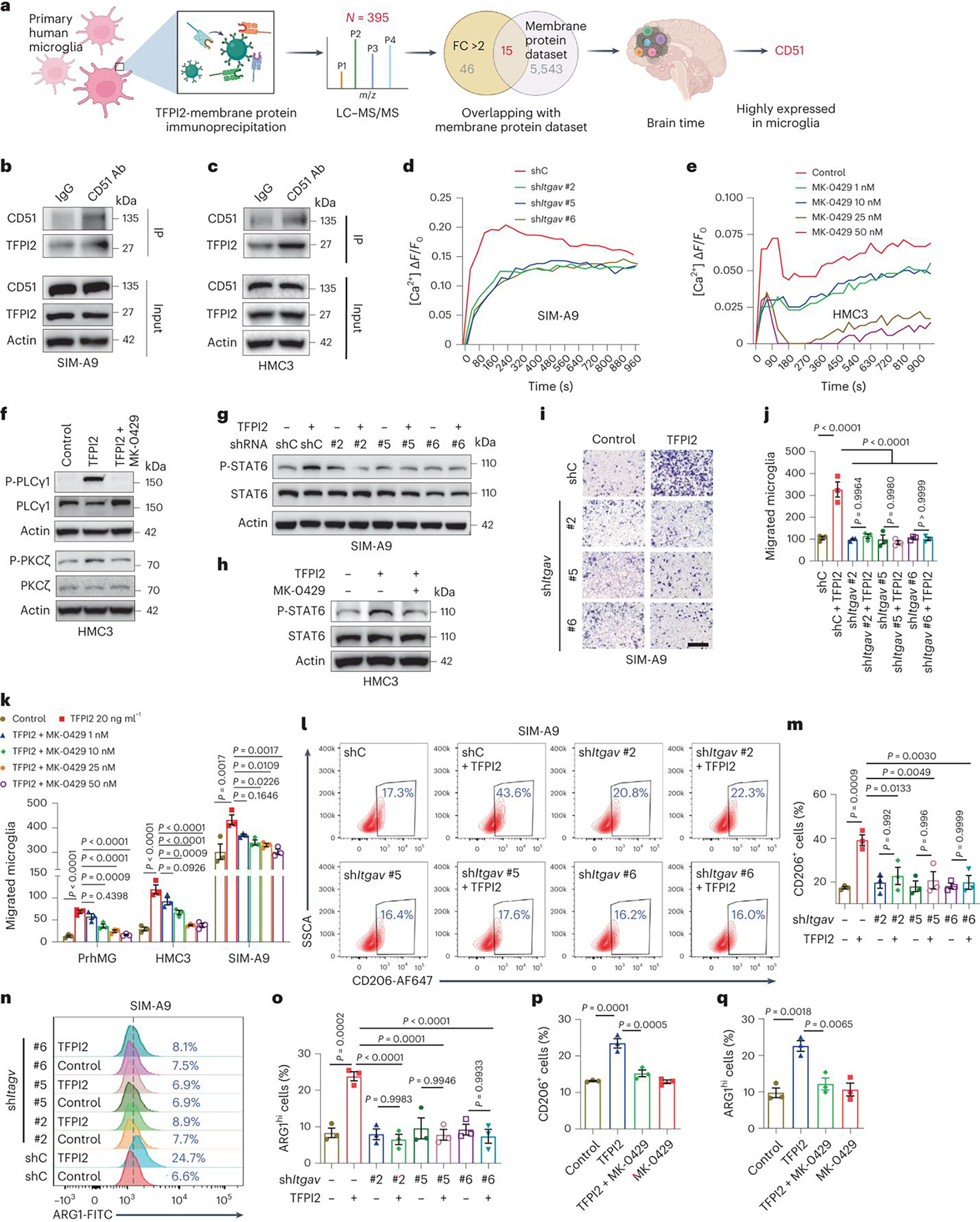 Fig. 6: