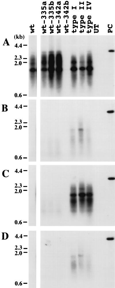 FIG. 7.