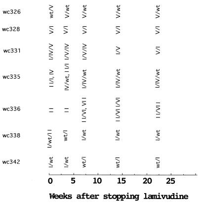 FIG. 9.