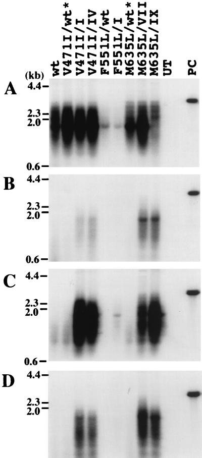 FIG. 5.