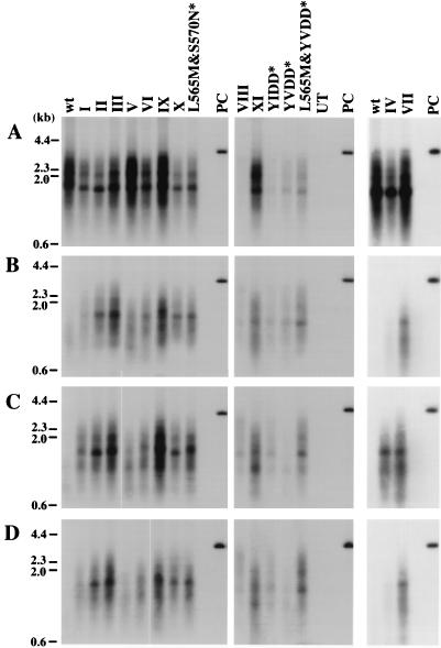 FIG. 2.