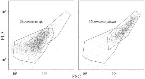 FIG. 5.