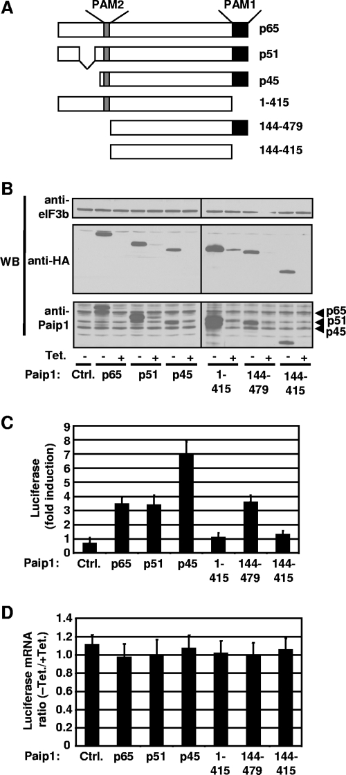 FIG. 6.