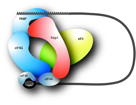 FIG. 8.