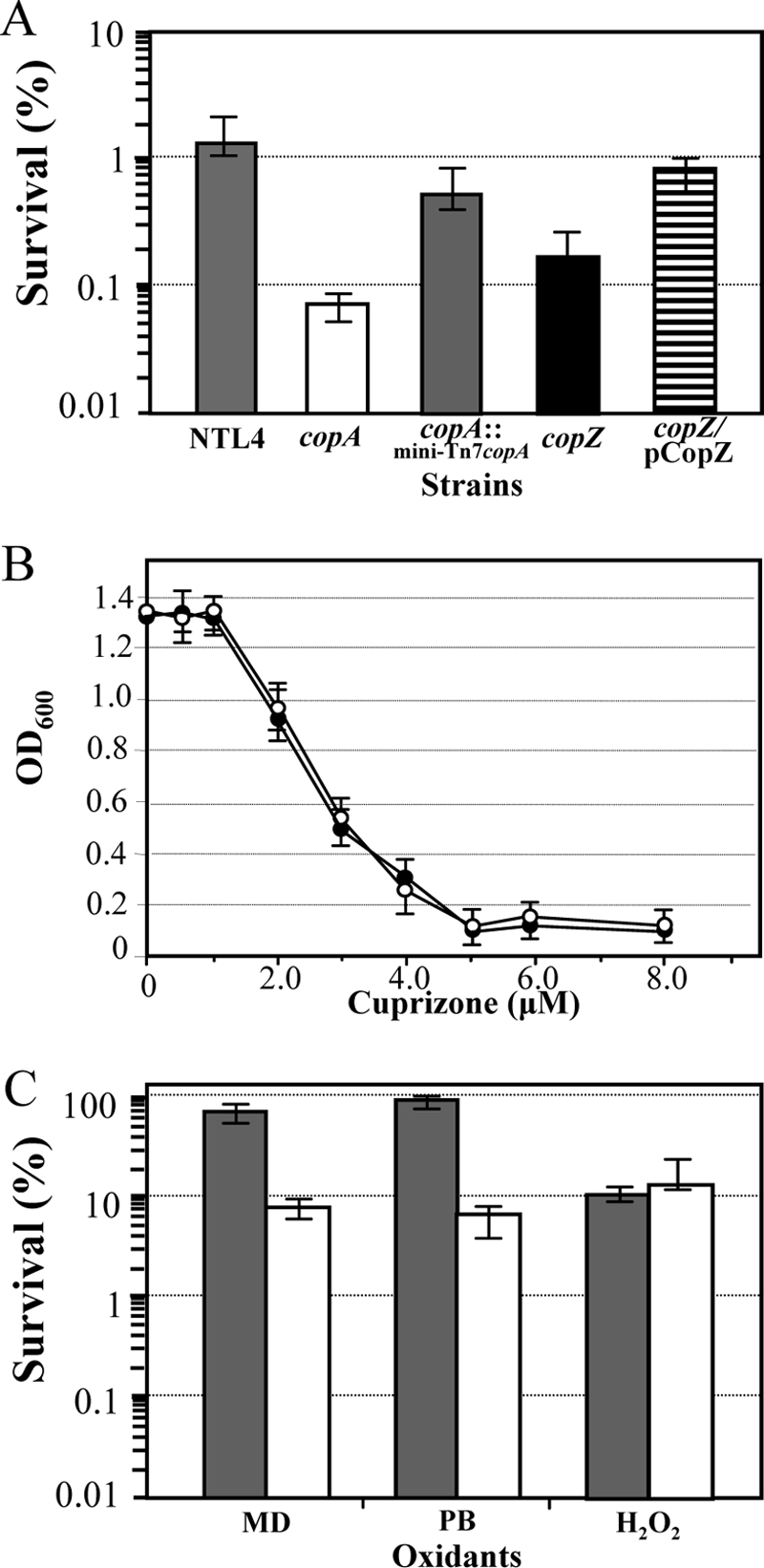 FIG. 5.