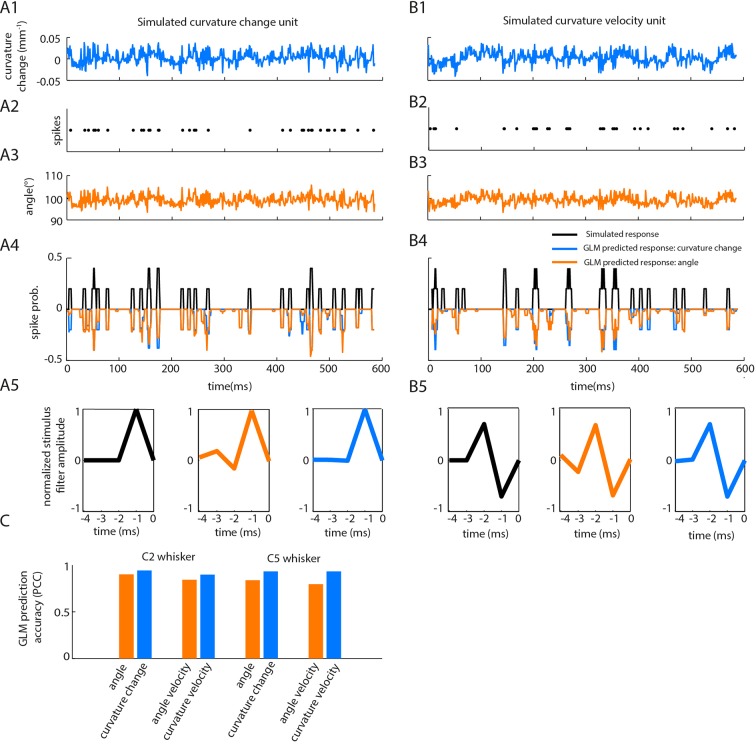 Figure 4—figure supplement 1.