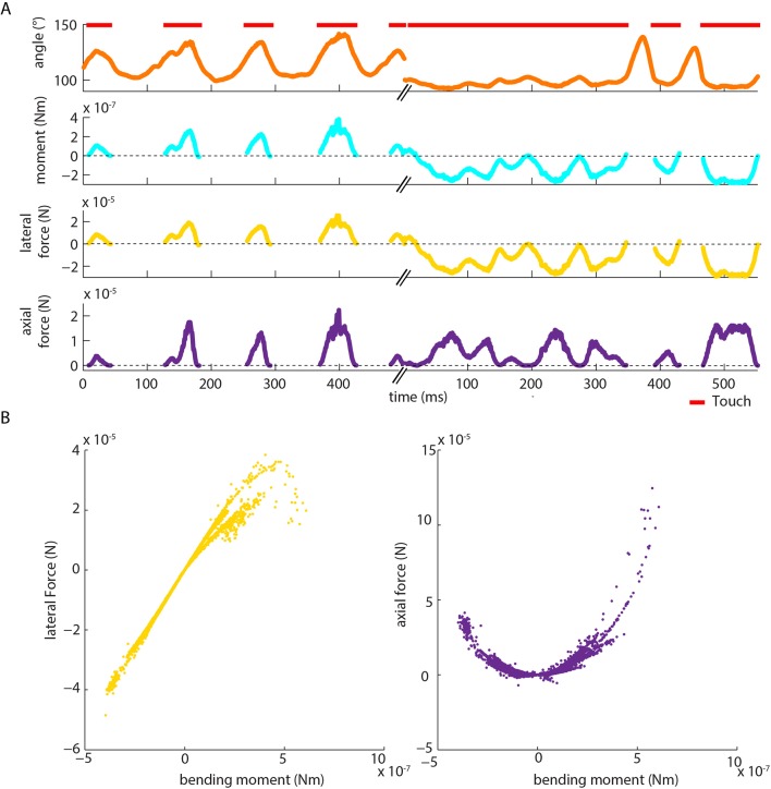 Figure 2—figure supplement 2.