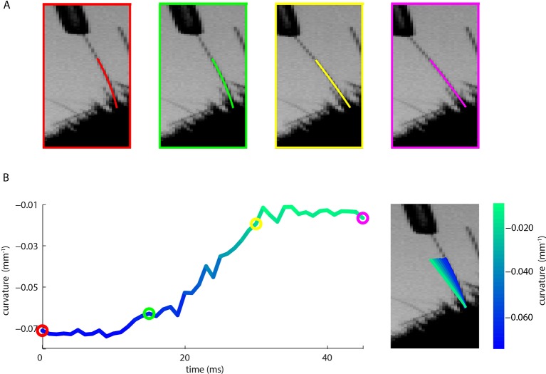 Figure 4—figure supplement 2.