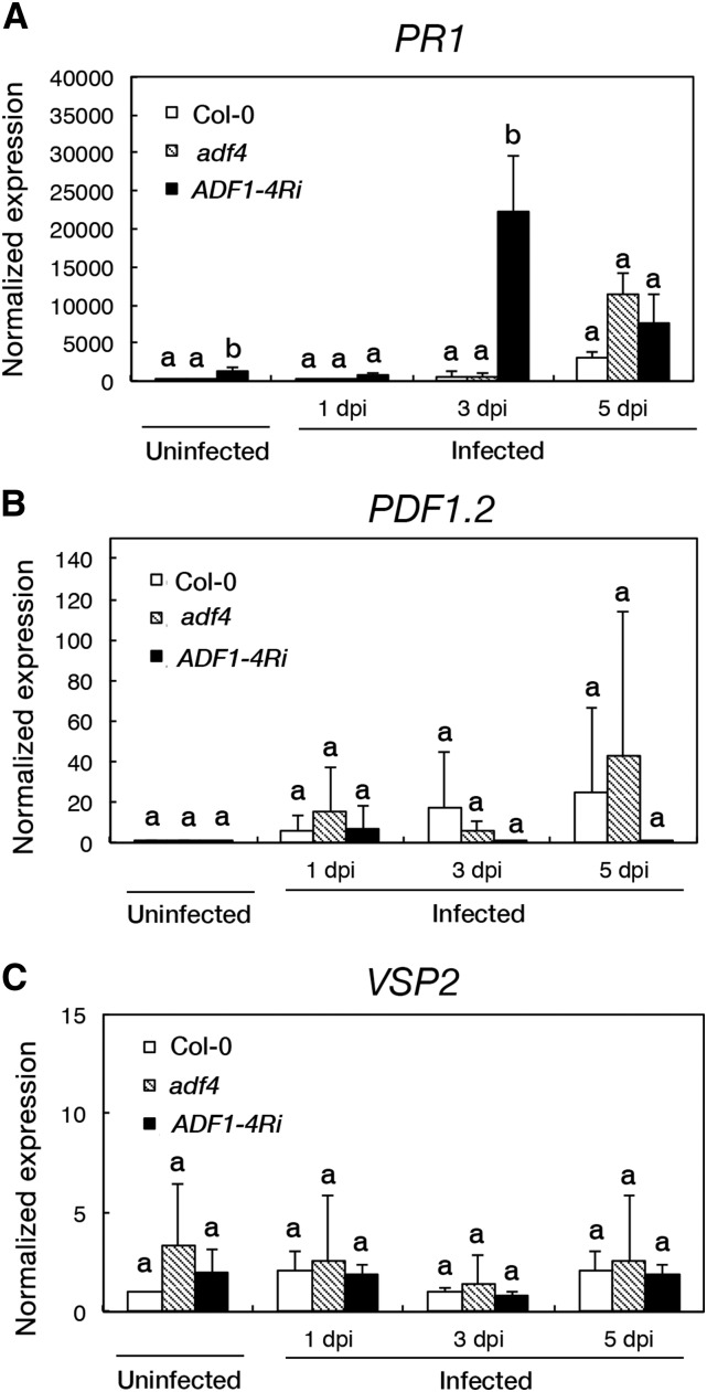 Figure 4.