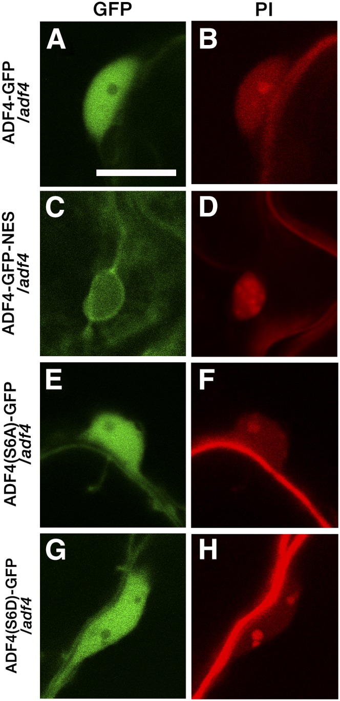 Figure 7.