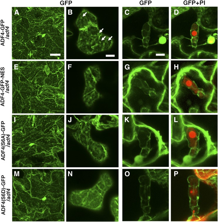 Figure 6.