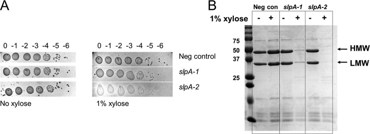 FIG 5