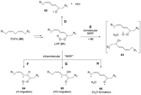 Scheme 6