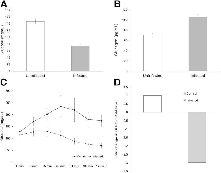 Figure 6