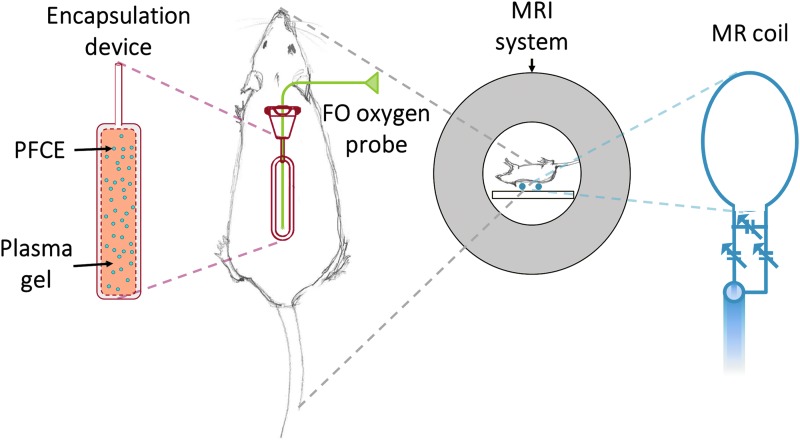 FIG. 1.