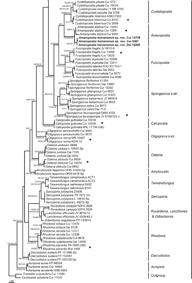 Fig. 2