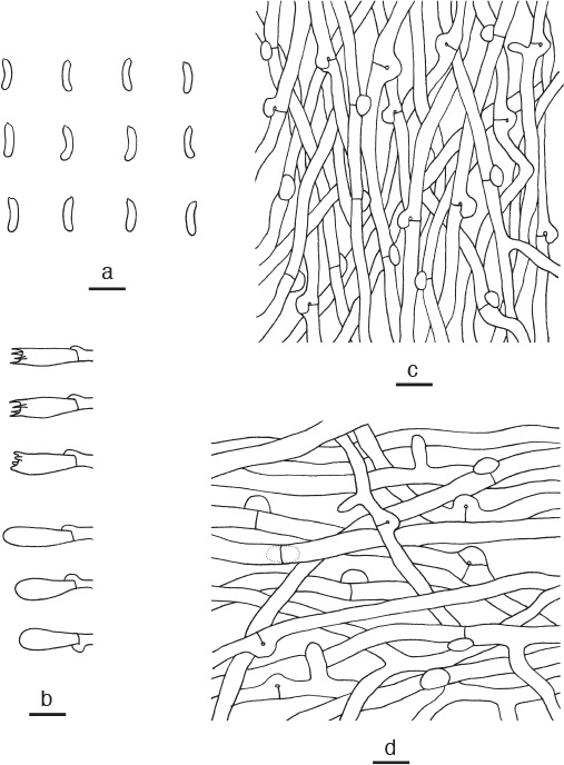 Fig. 10