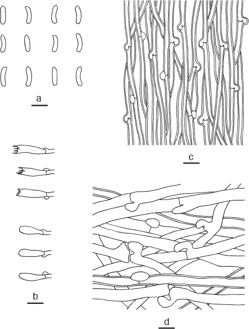 Fig. 8