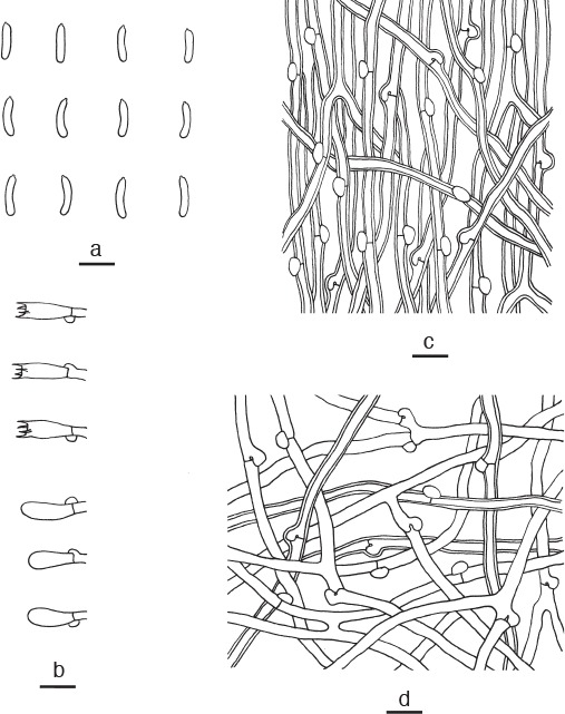 Fig. 11