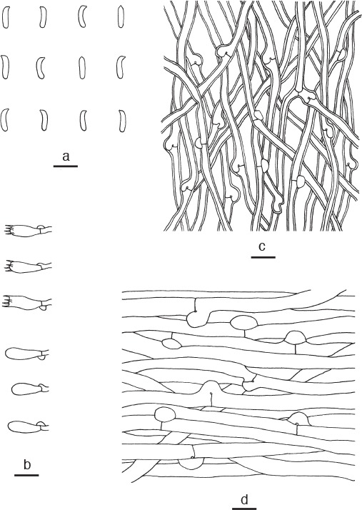 Fig. 9