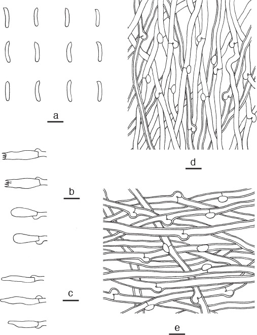 Fig. 5