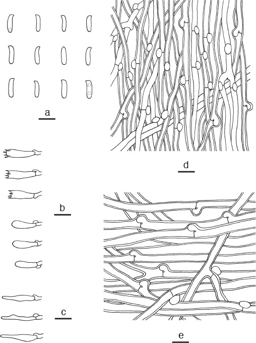 Fig. 12