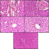 Fig 10