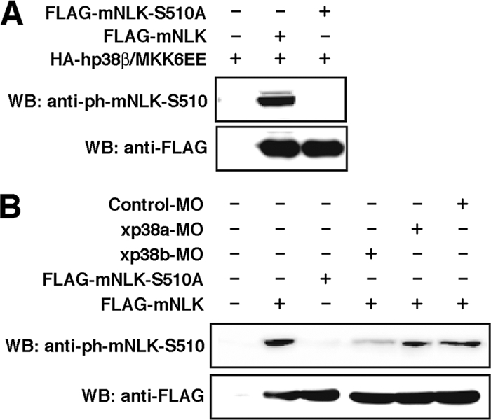 FIG. 6.