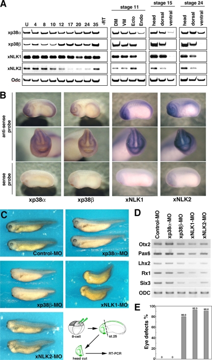 FIG. 4.