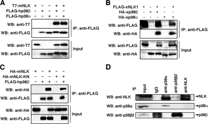 FIG. 1.