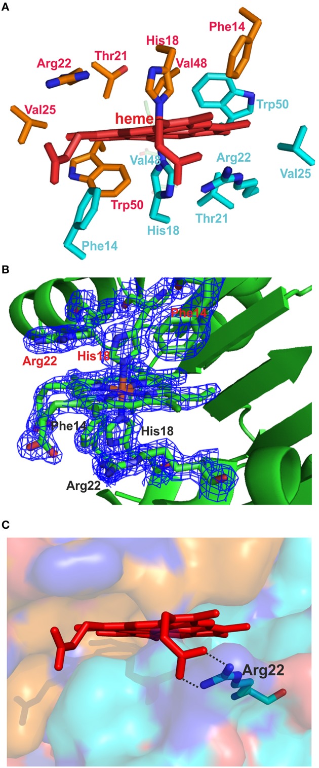 Figure 6