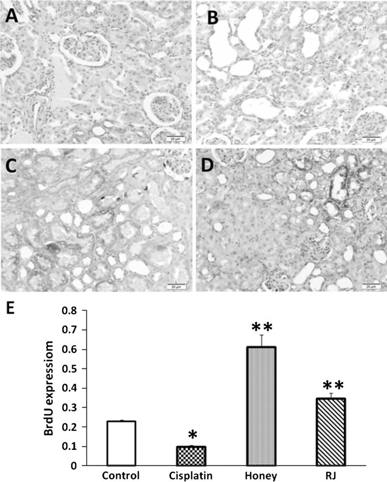 Fig. 4