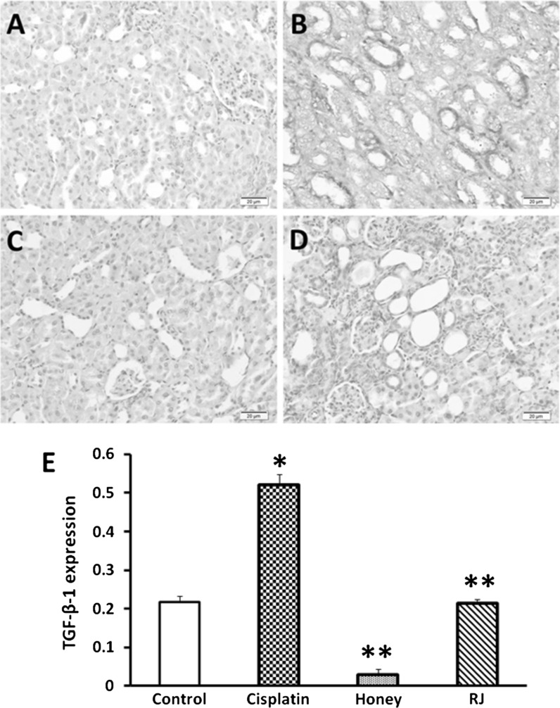 Fig. 3