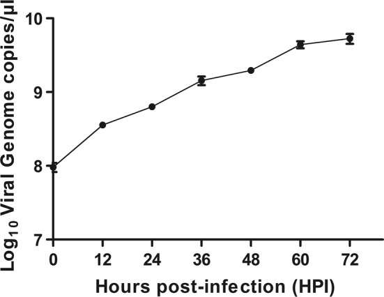 Fig. 2