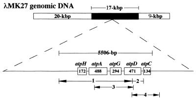 FIG. 2