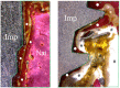 Fig 5