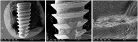 Fig 9