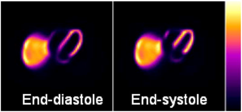 Fig. 19