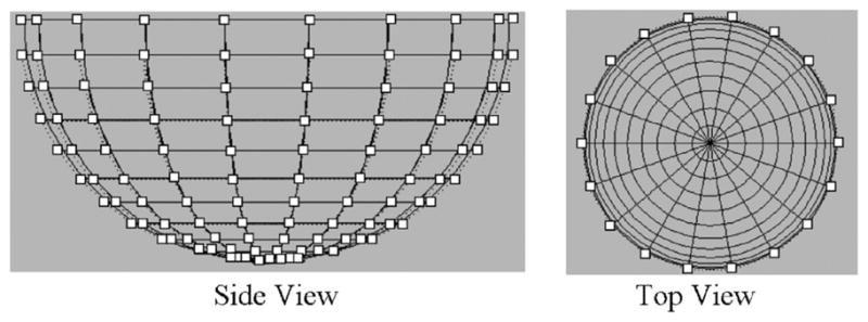 Fig. 10