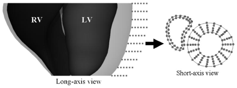 Fig. 8