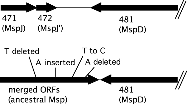 FIG. 2.