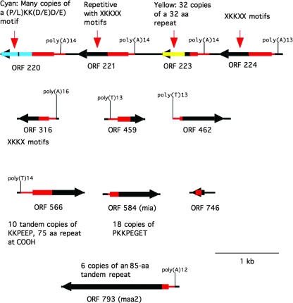 FIG. 3.