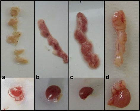 Fig. 8