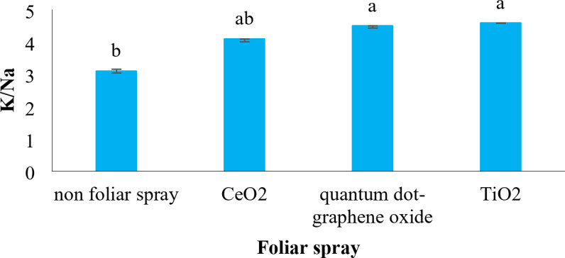 Fig. 10