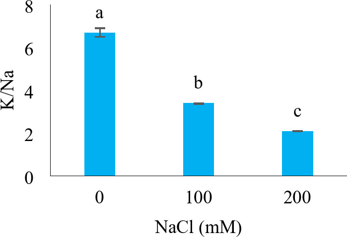 Fig. 9