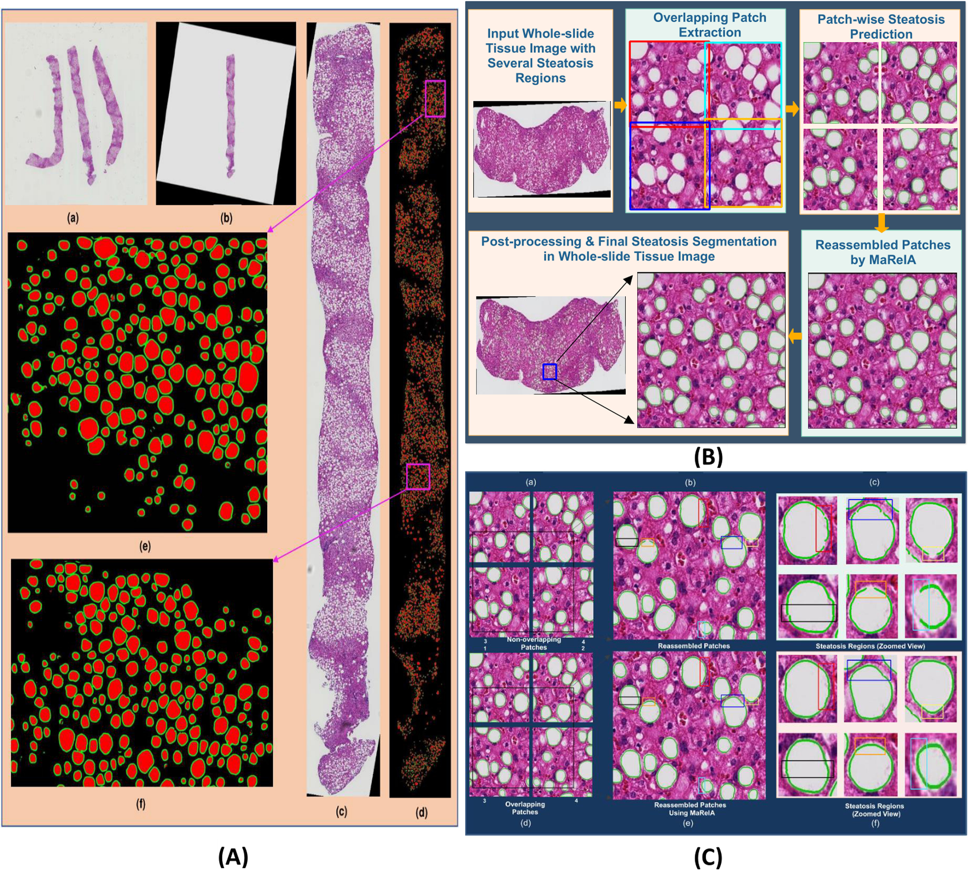 Figure 5.