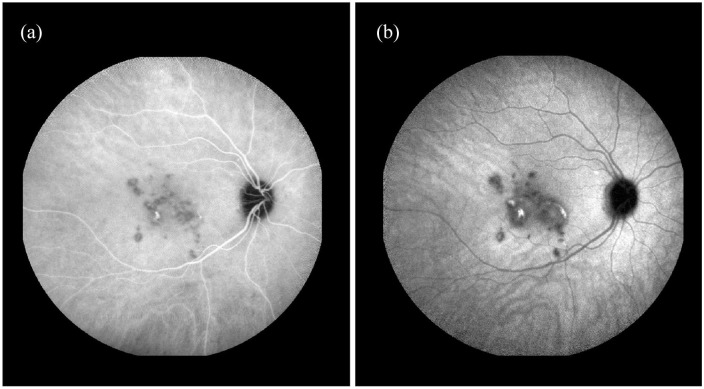 Figure 2.